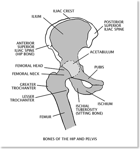 Want some good posture tips? Check out this comprehensive article on the basics of sitting. Improve your posture and reduce back pain. Super important stuff.