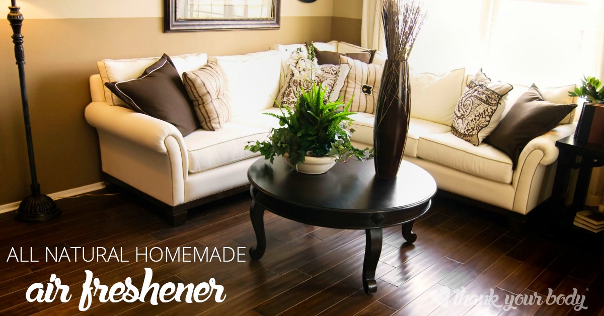 Homemade air freshener is inexpensive, easy, and so much better for you and the environment. Learn why you must throw out the toxic commercial stuff.