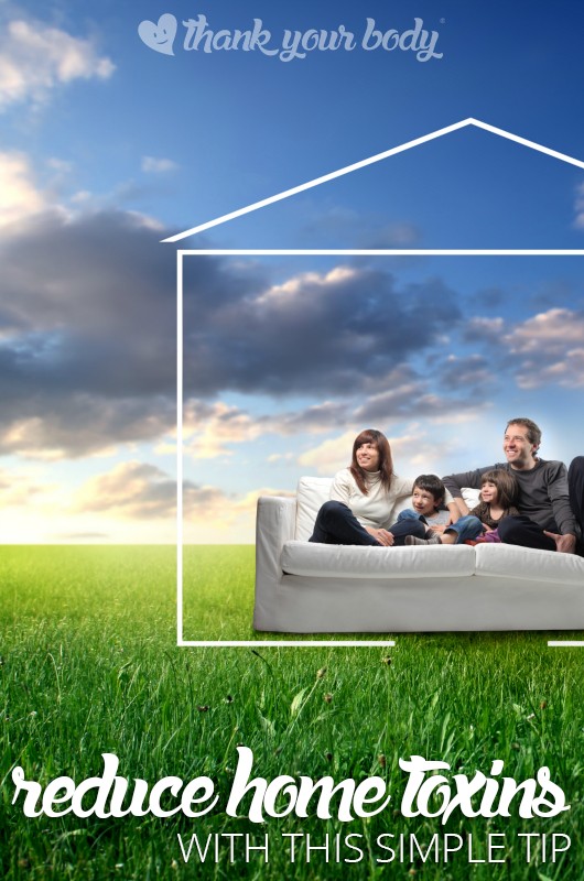 Want to reduce home toxins by 60% Did you know there is a simple solution to do it? One that has a whole bunch of other benefits? Read more!