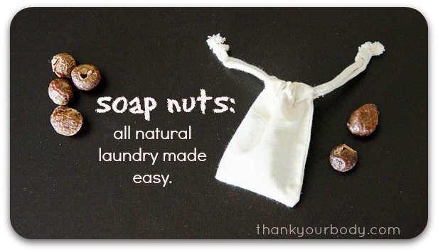 soap nuts: all natural laundry made super easy!