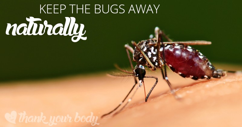 Don't be bothered by the bugs this summer! Try this "bugs be gone" spray.