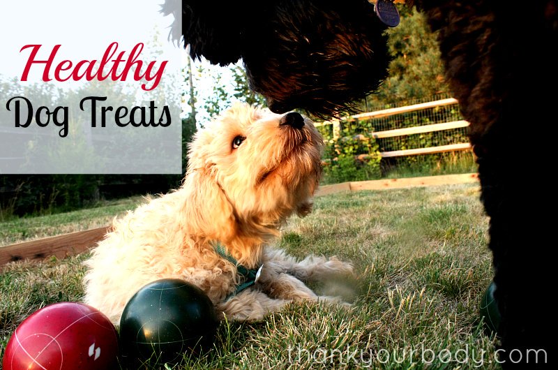 homemade healthy dog treats