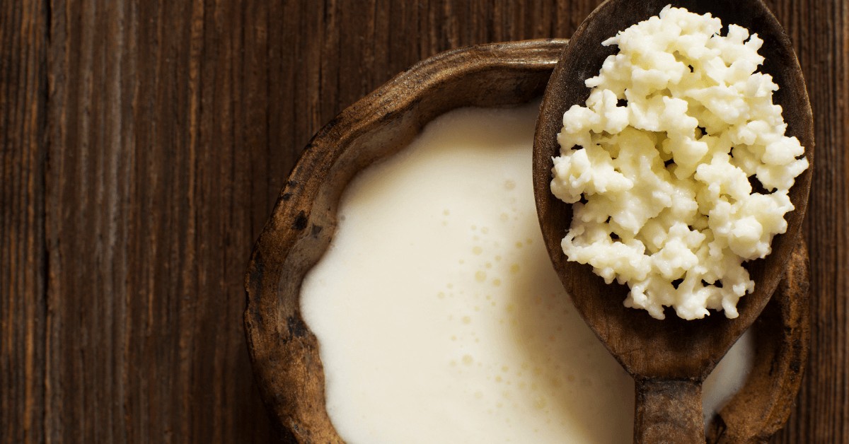 Wondering what the benefits of probiotics are? Learn how good bacteria supports a healthy immune system - and how to add probiotics to your diet easily.