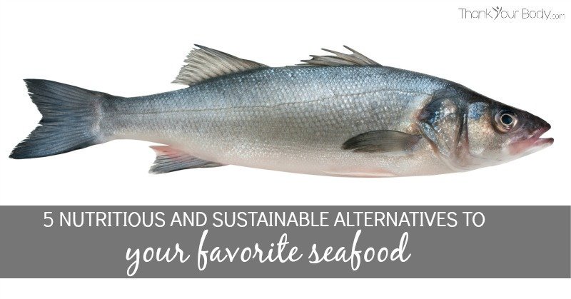 5 Nutritious and Sustainable Alternatives to your Favorite Seafood