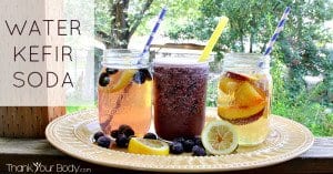 Blueberry lemonade, kefir smoothie, and ginger-peach...three great ways to drink kefir water, plus info about how kefir works.