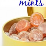 These homemade healthy breath mints are amazing and not full of toxic crap. Sounds good to me.