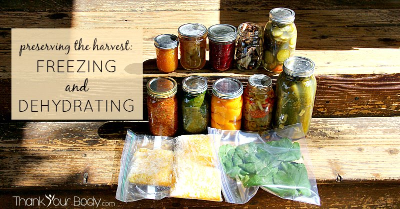 Got produce? Here's how to preserve it through freezing and dehydrating. Part 2 of a 2 part series on food preservation.