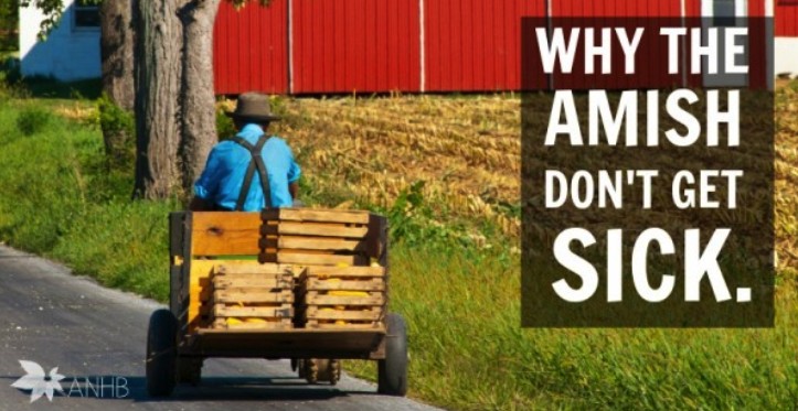 Amish driving cart