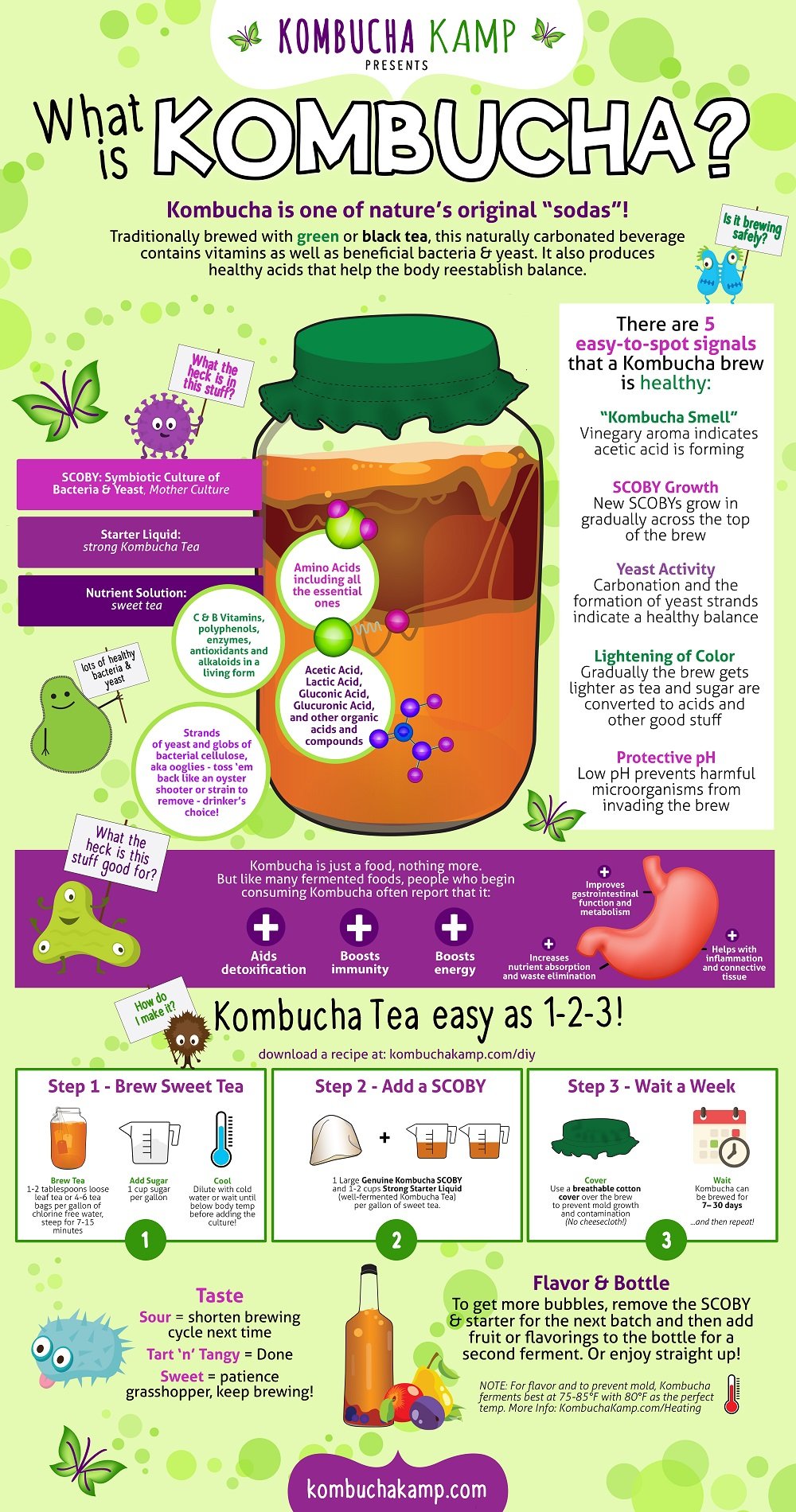 What is kombucha and why should you drink it? Plus a great recipe to make your kombucha tea.