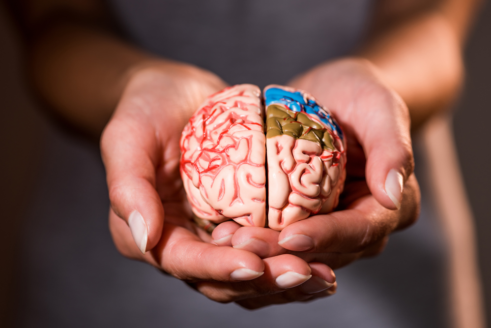 best dopamine supplement
