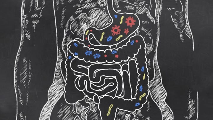 probiotics and histamine intolerance