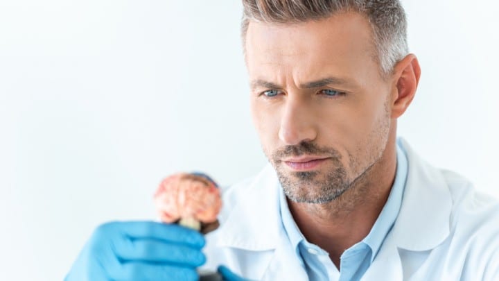 noopept as a nootropic