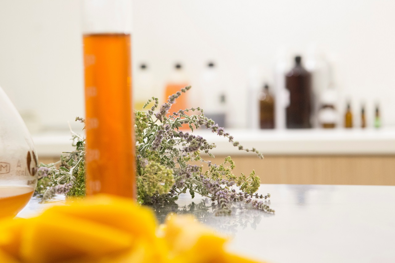 natural skincare lover needs