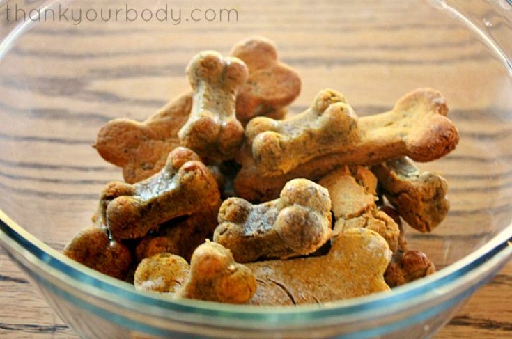 Homemade Healthy Dog Treats