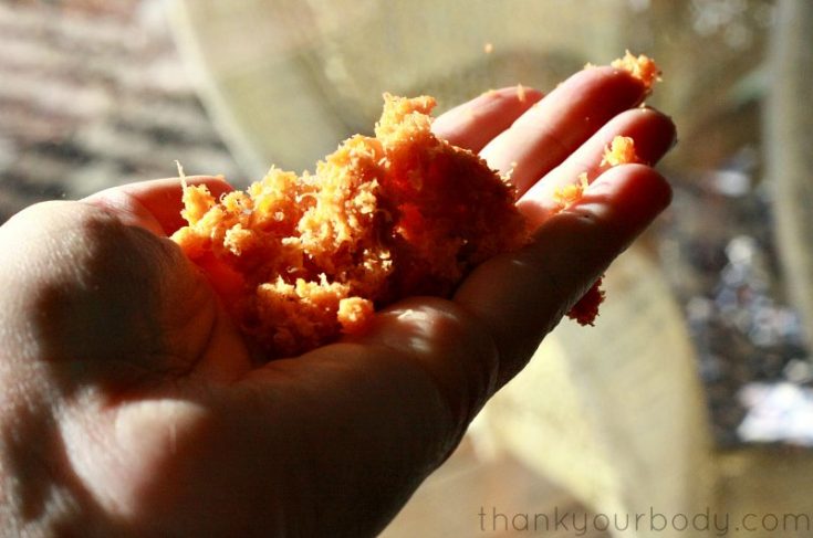 Juicer Pulp Crackers
