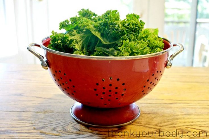 Nacho Cheese Kale Chips