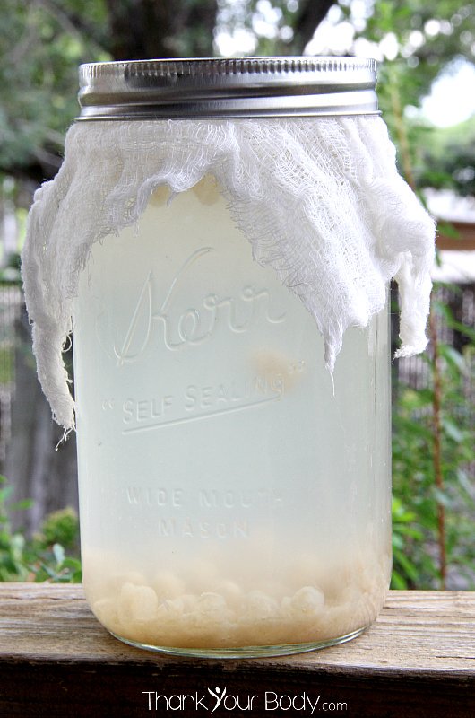Water Kefir Soda