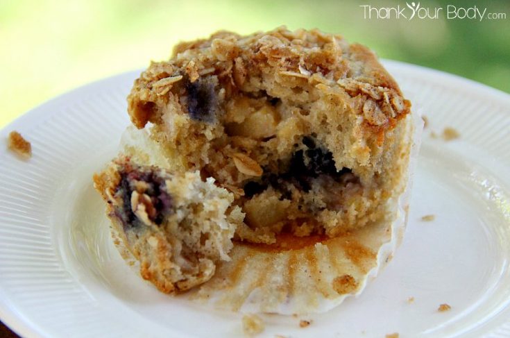 Gluten Free Blueberry Apple Oatmeal Muffins