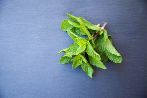 mint leaves